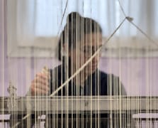 Hatay’ın "İpek Kanatlı" Hazinesi: Emel Duman ve Hatay Sarısı