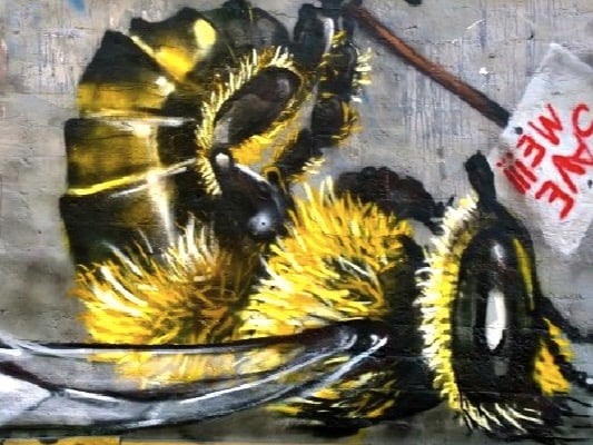 Şehrin sokakları arılar için alarm veriyor