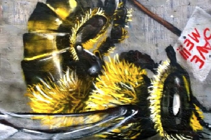 Şehrin sokakları arılar için alarm veriyor