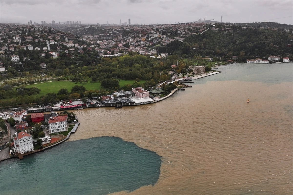 İstanbul Boğazı kıyı kesimlerinde deniz rengi kahverengiye döndü