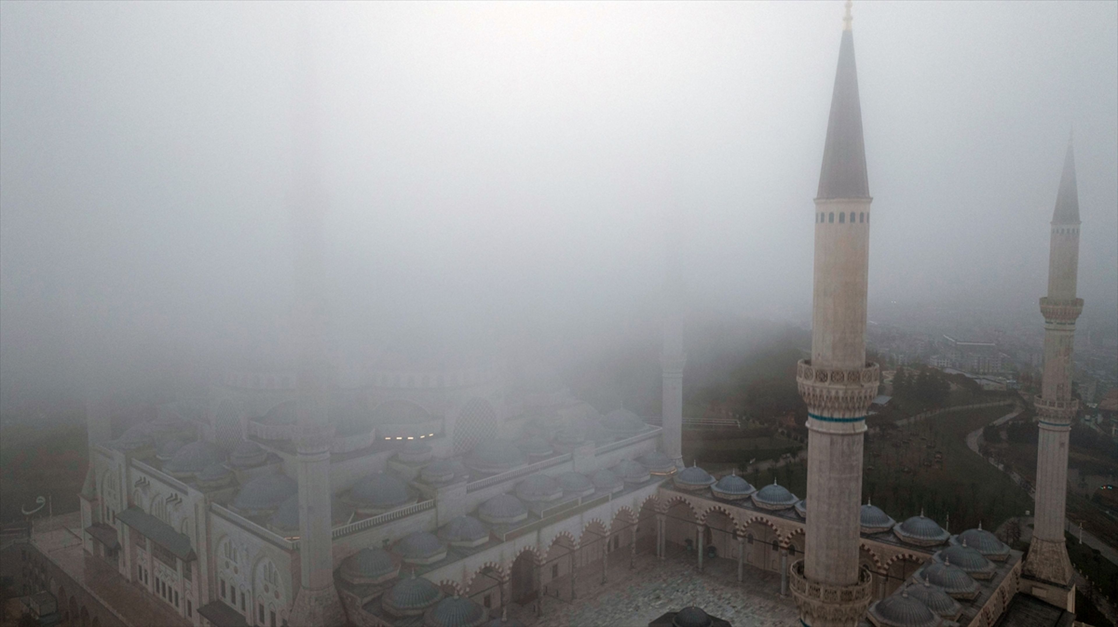 Galeri Fotoğrafı
