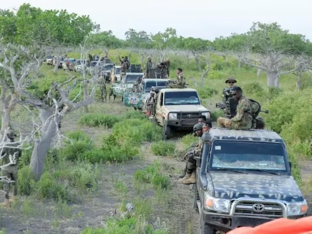 Somali, Jubaland Troops Target Al-Shabaab Strongholds