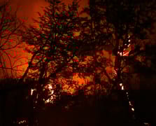 Arjantin'de orman yangınları 50 bin hektar alanı kül etti