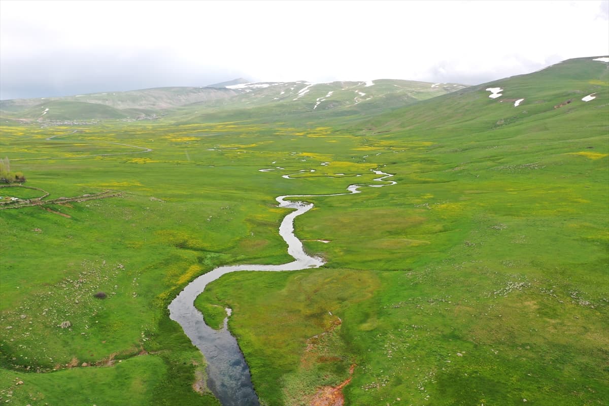 Ağrı'da ilkbahar güzelliği: Karlar eridi, menderesler dronla görüntülendi