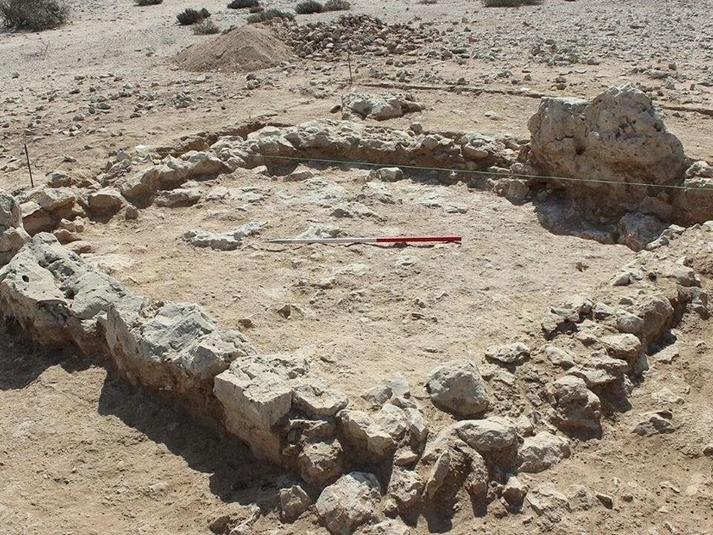 700 yıl sonra mezardan çıkan bulgu dikkatleri bu hastalığa çevirdi! Meğer bilinenler doğru değilmiş
