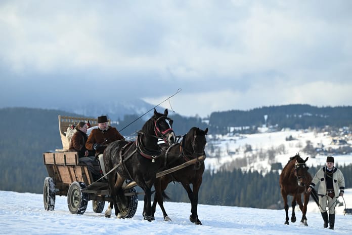 Adrenalin tutkusu: Kumoterki kızak yarışları