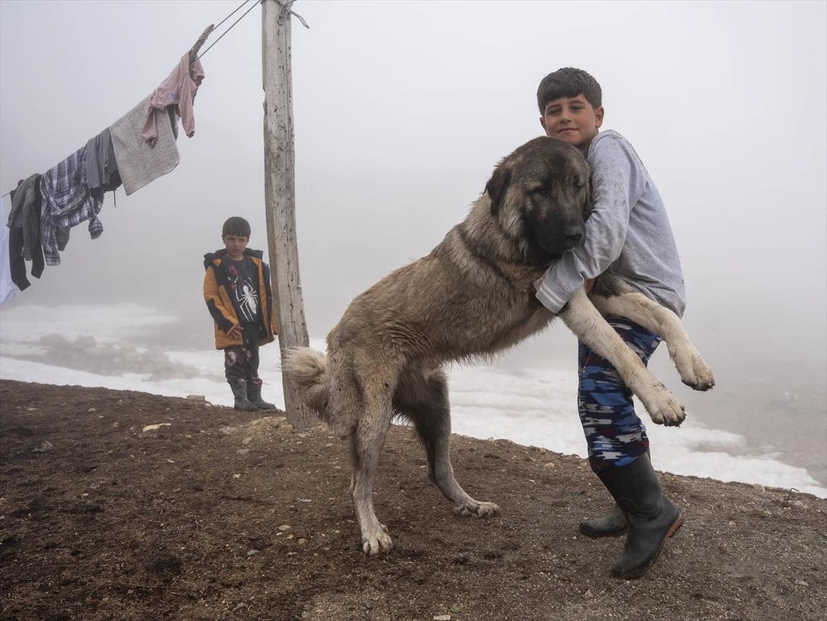 Denizden binlerce metre yükseklikte yaşam