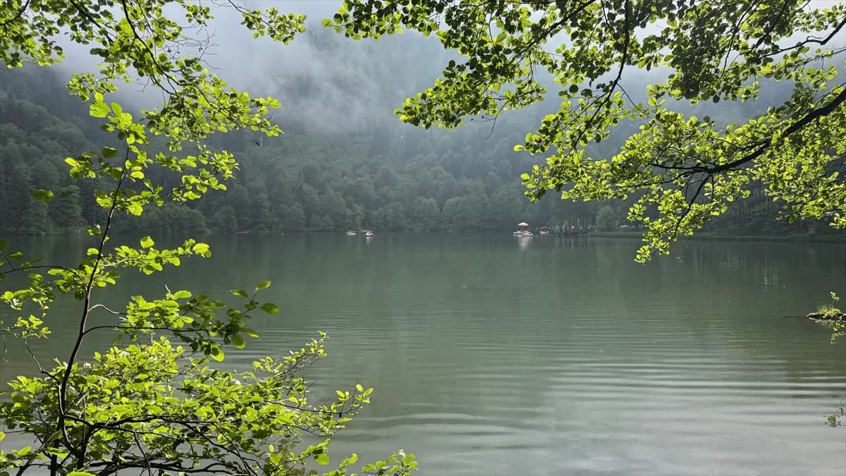 Borçka Karagöl Tabiat Parkı'na ziyaretçi akını