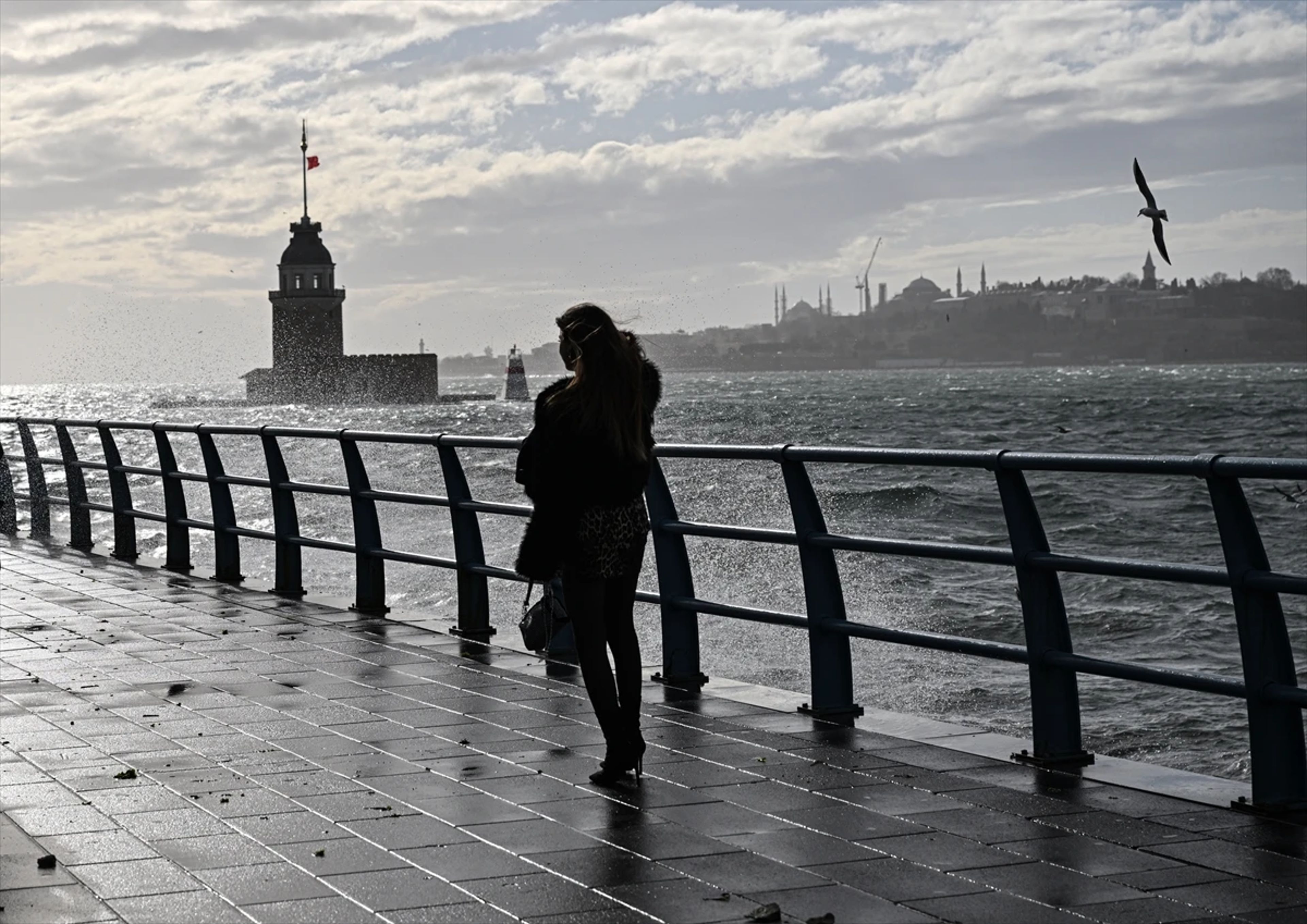 Galeri Fotoğrafı