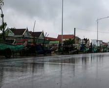 Vietnam'ı Bualoi Tayfunu ile mücadele ediyor