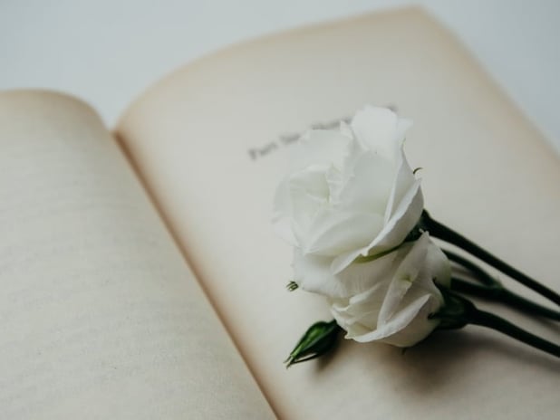 16.Uluslararası İstanbul Şiir ve Edebiyat Festivali başlıyor