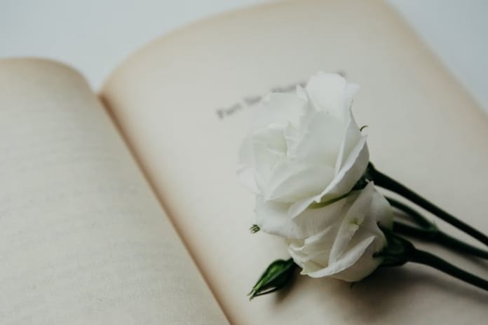 16.Uluslararası İstanbul Şiir ve Edebiyat Festivali başlıyor