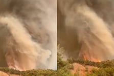 Orman yangınının en çarpıcı görüntüsü: Alevler hortum oluşturdu