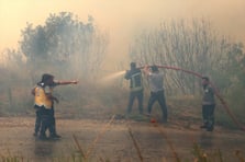 Lazkiye’deki orman yangınları kontrol altına alınıyor