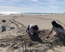 Akdeniz'de gece bu sahillere girenler 557 bin lira ceza ödeyecek