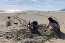 Akdeniz'de gece bu sahillere girenler 557 bin lira ceza ödeyecek