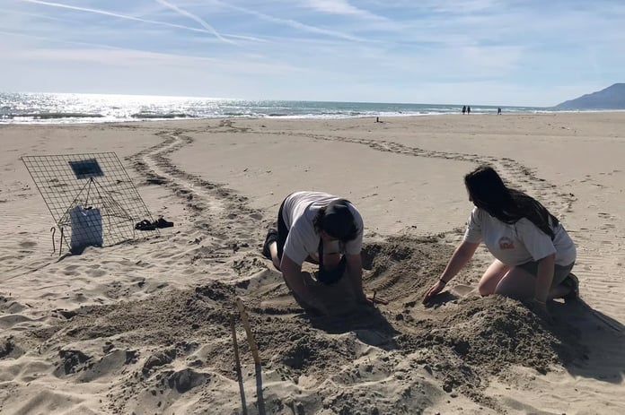 Akdeniz'de gece bu sahillere girenler 557 bin lira ceza ödeyecek