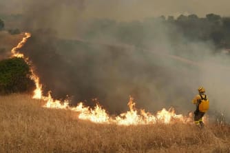 Wildfires Force 200,000 to Flee France and Spain