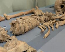 2000 yıl sonra kanıtlandı: Gladyatörler aslanlarla dövüştü