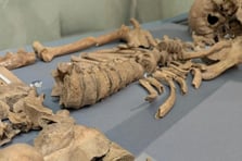 2000 yıl sonra kanıtlandı: Gladyatörler aslanlarla dövüştü