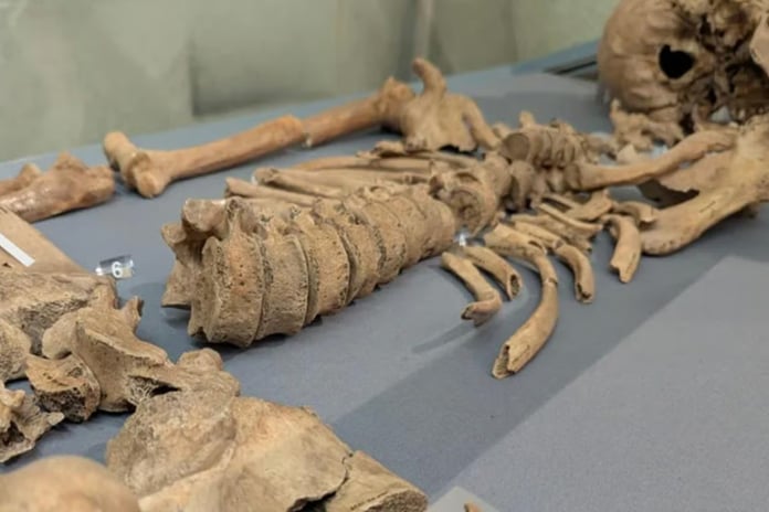 2000 yıl sonra kanıtlandı: Gladyatörler aslanlarla dövüştü