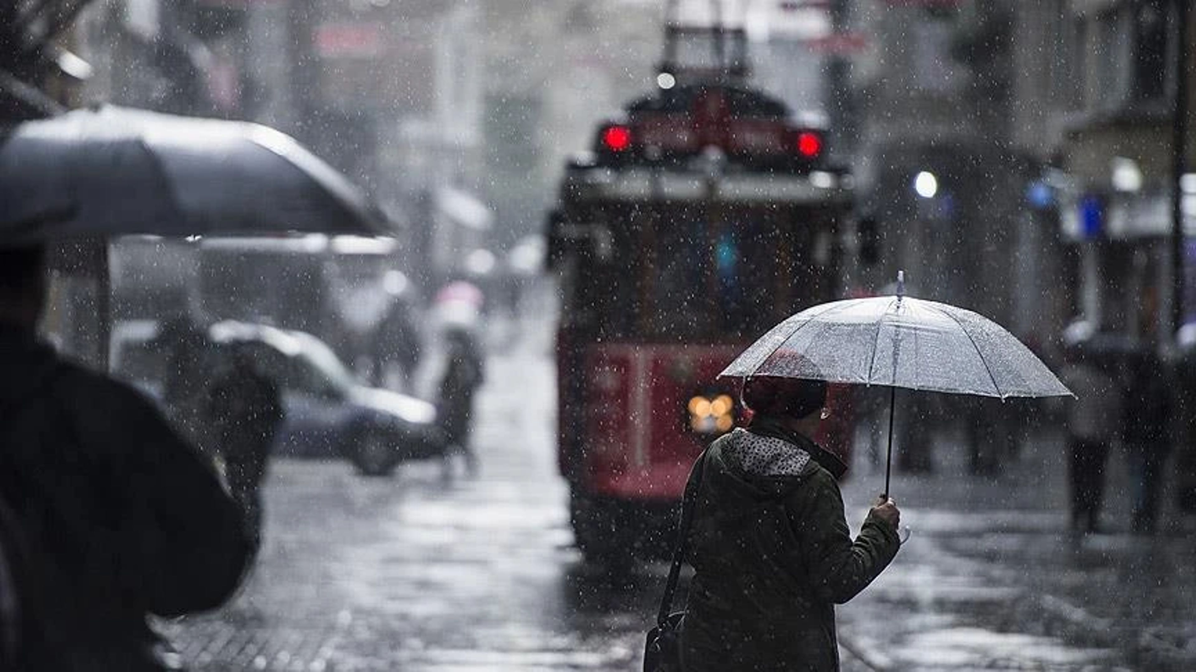 Galeri Fotoğrafı