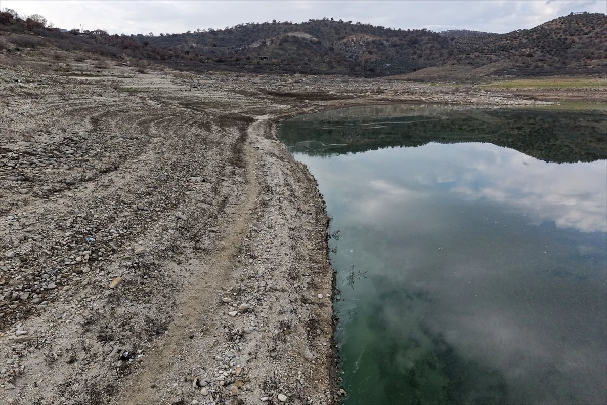 Manisa'daki Demirköprü Barajı yosunla kaplandı