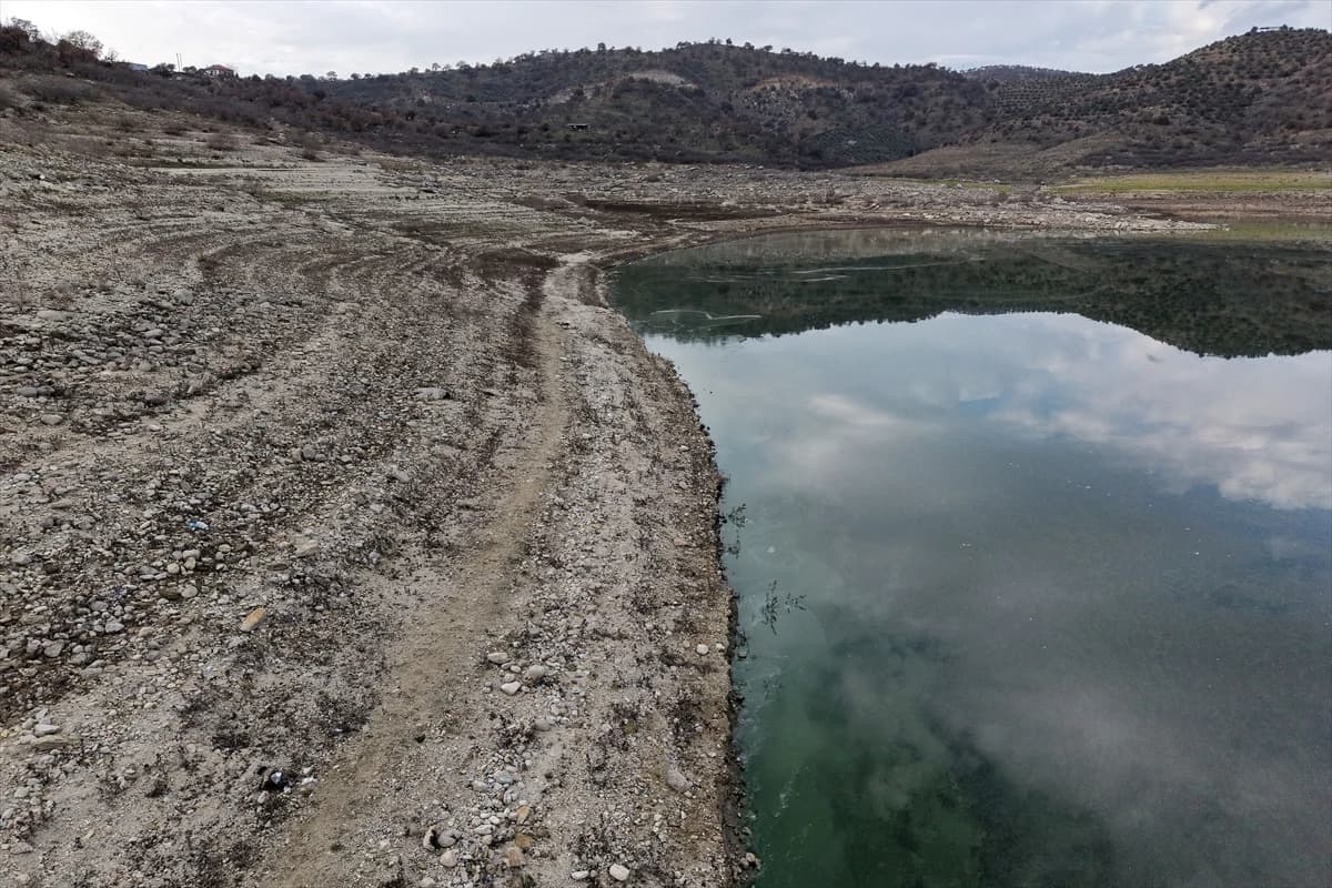 Manisa'daki Demirköprü Barajı yosunla kaplandı