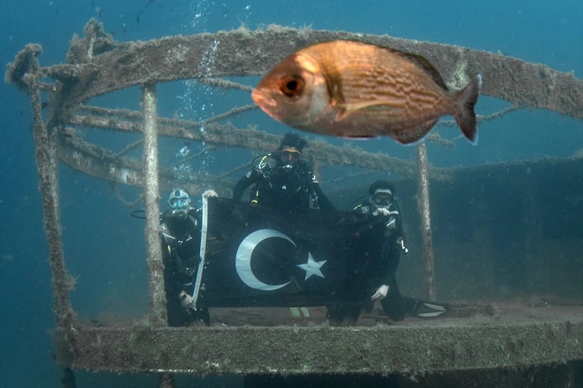 Denizin altındaki dünya Karaburun'da keşfediliyor