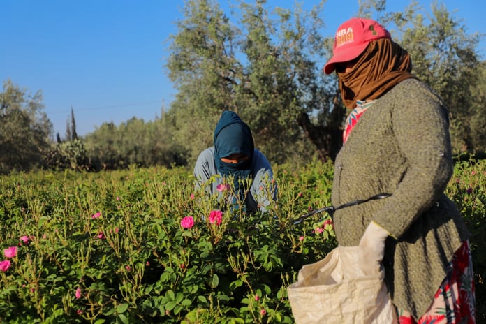 Geleneksel mirasın geleceği tehlikede