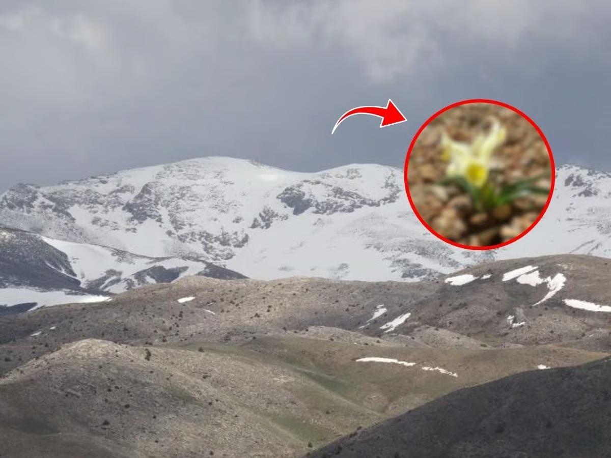 Sakın dokunmayın, servet değerinde: 699 bin TL ceza!
