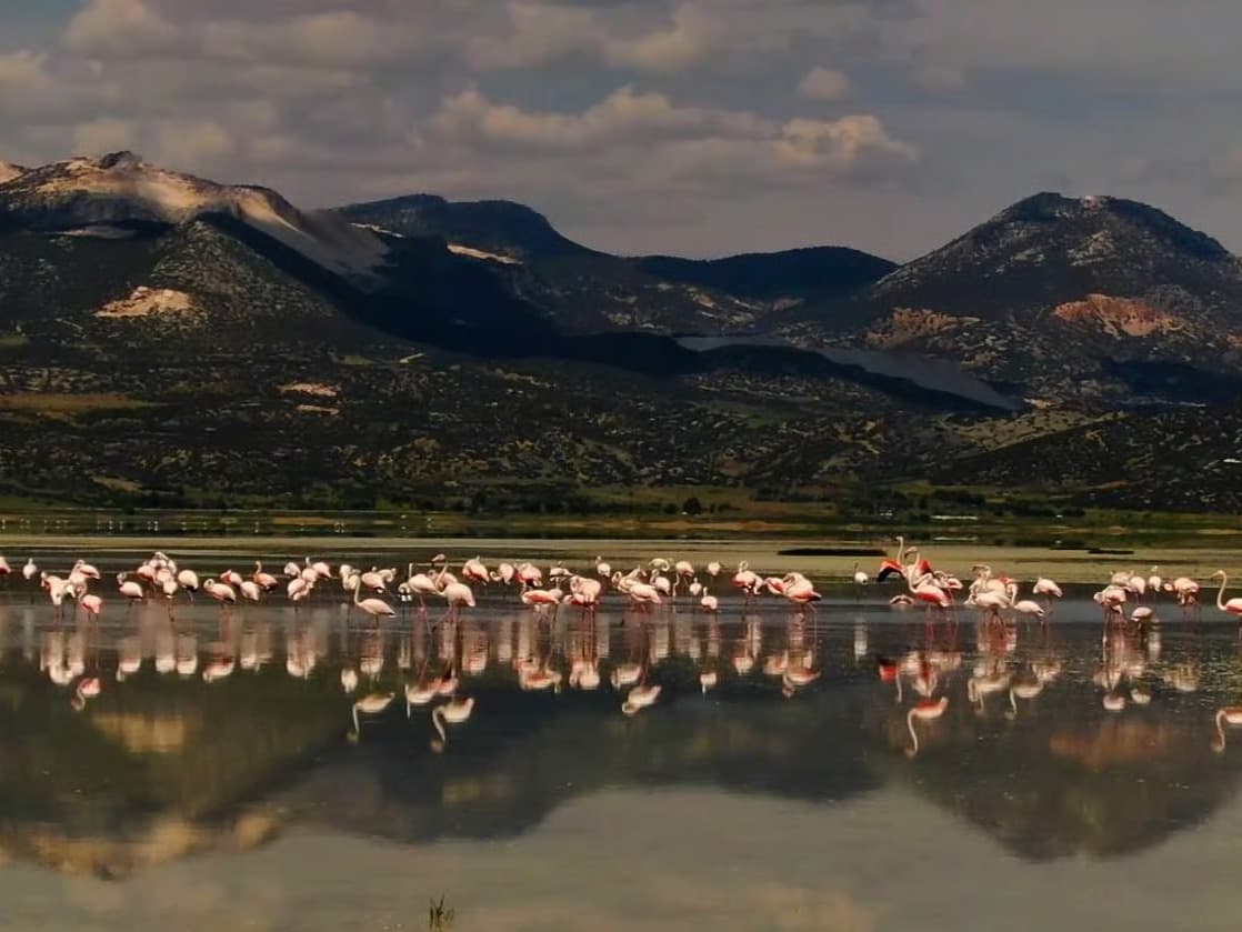 Bir asırlık göl sessizce yok oldu