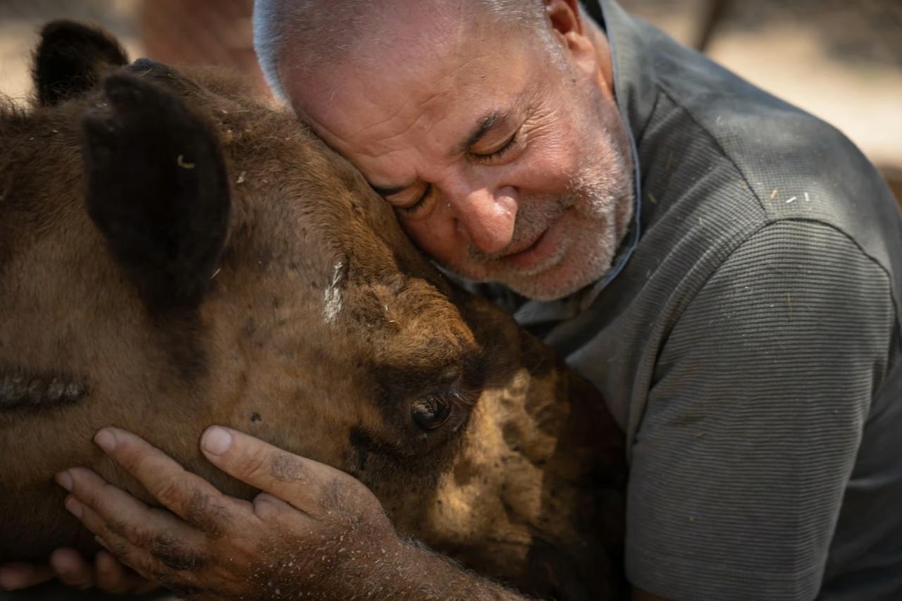 İsrail'in saldırısından köpeği sayesinde kurtuldu