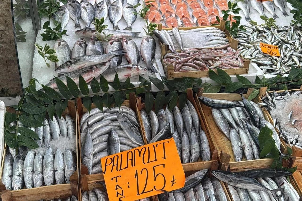 Denizlerde palamut patlaması! Tanesi 125 liradan tezgaha indi!
