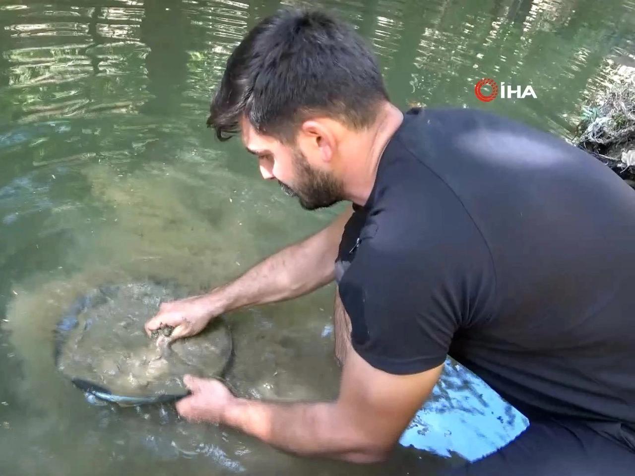 Her gün 5 gram altın çıkarıyor