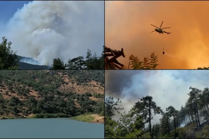 Türkiye genelinde 47 ilde ormanlara giriş yasağı