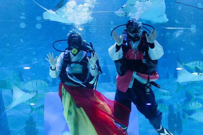 Vatozların eşlik ettiği yeni yıl selamı