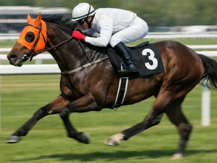 "Atın kesildiğini Bakanlık arayınca öğrendim, bir de ceza kestiler"