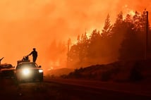 Şili'de orman yangını felaketi: 18 kişi hayatını kaybetti