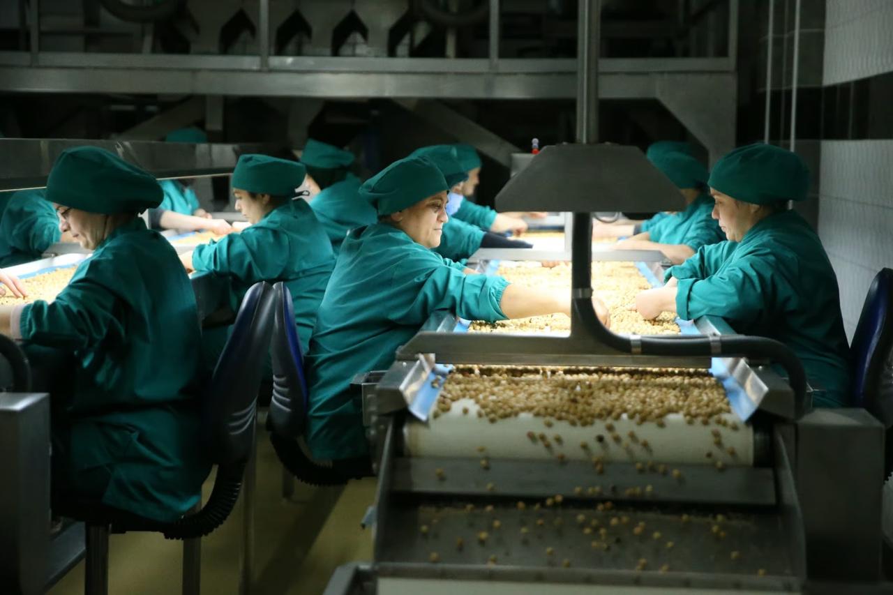 Karadeniz'den milyar dolarlık rapor açıklandı: O üründe hem ihracat hem de gelir geriledi!