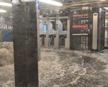 ABD'de şiddetli yağışlar olağanüstü hal getirdi