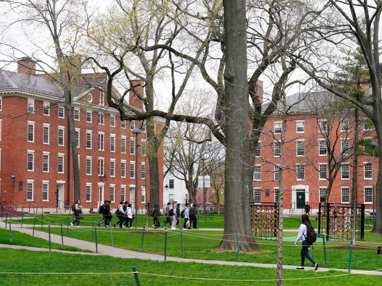  Harvard Üniversitesi'ne bir soruşturma daha