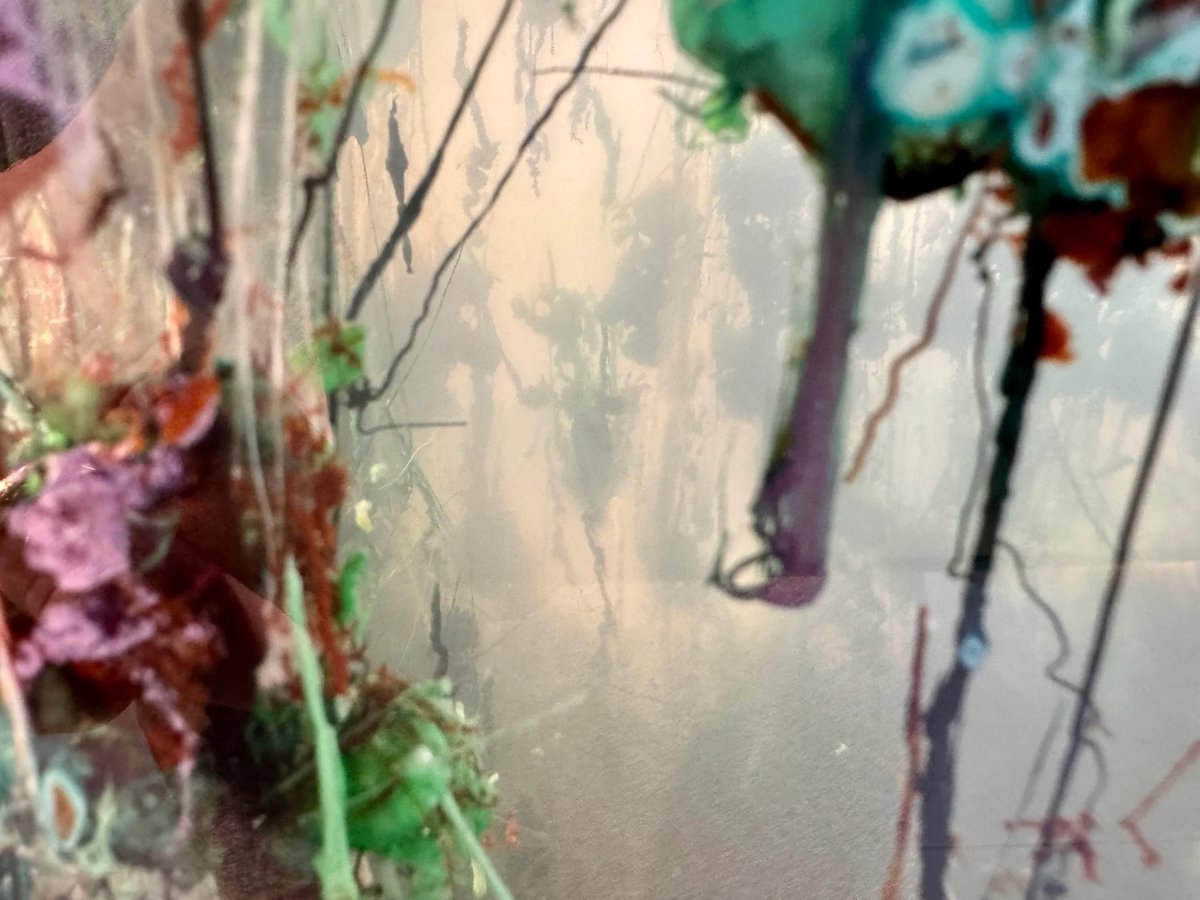 Agnieszka Kurant, Kimya Bahçesi'nin detayı (2021/2025).