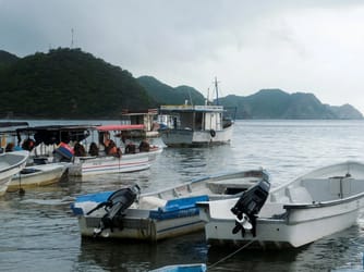 Cocaine Supply Unfazed by US Boat Strikes: Pentagon and DEA