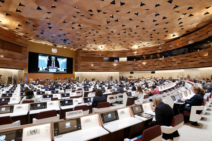 2026 BM İklim Zirvesi (COP31) Türkiye'de düzenlenecek