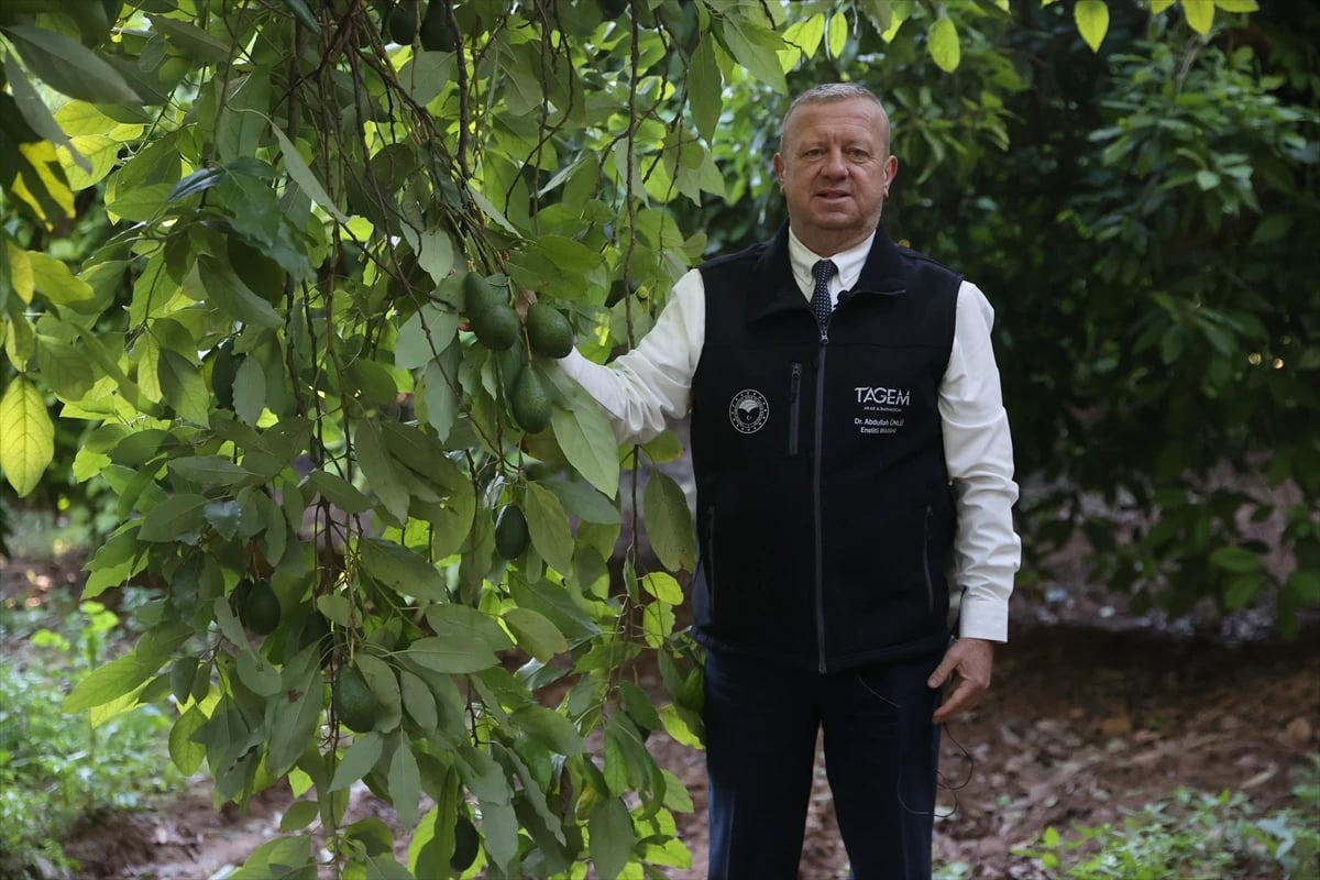 Batı Akdeniz Tarımsal Araştırma Enstitüsü Müdürü Doç. Dr. Abdullah Ünlü - AA