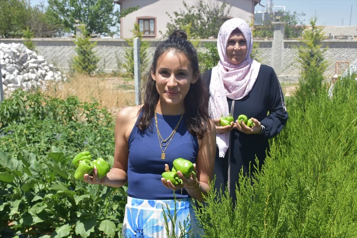 Çiftlikte ücretsiz konaklama şartı