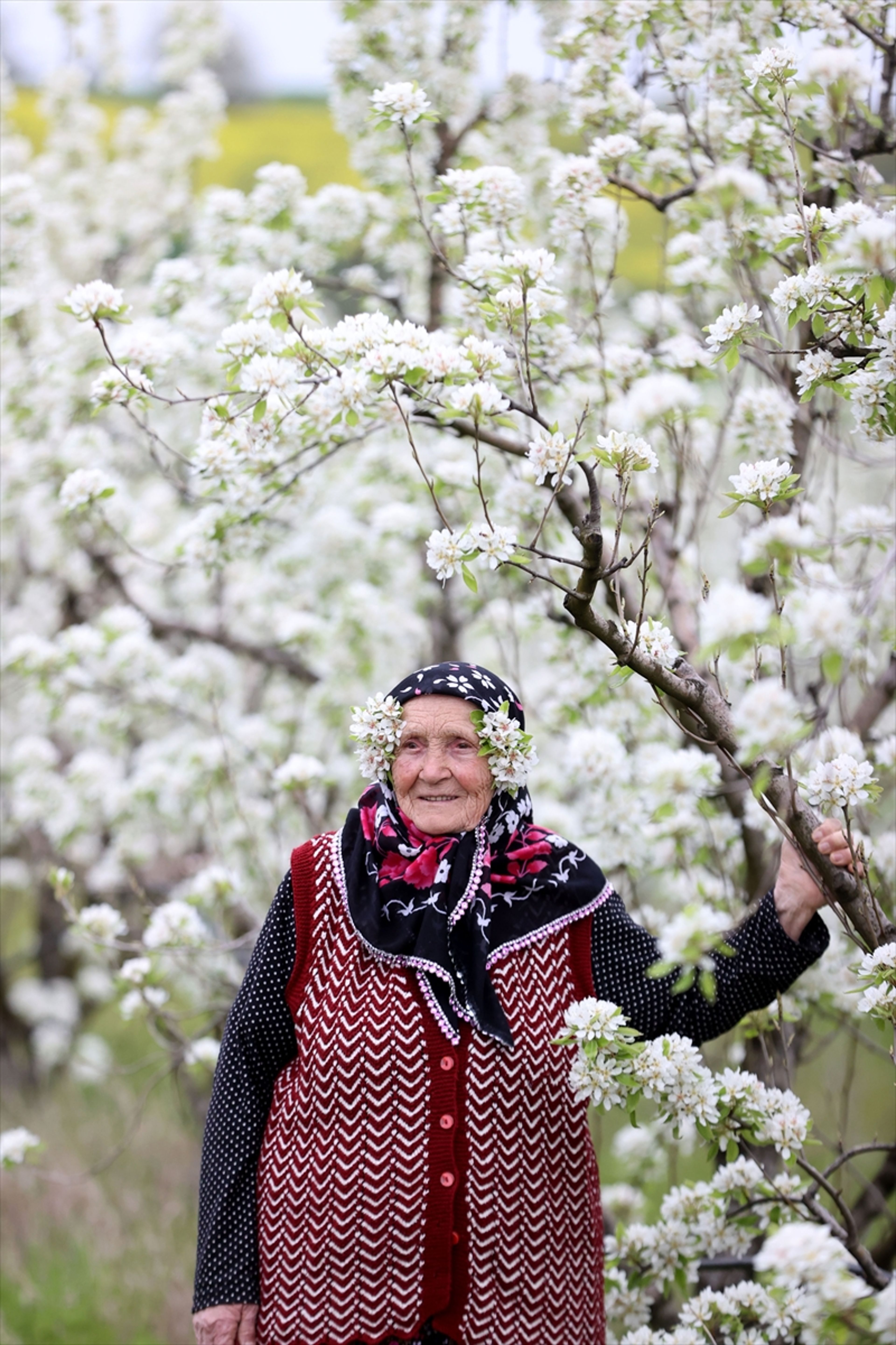Galeri Fotoğrafı