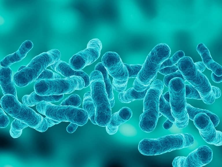 Sepsis nedir ve belirtileri nelerdir