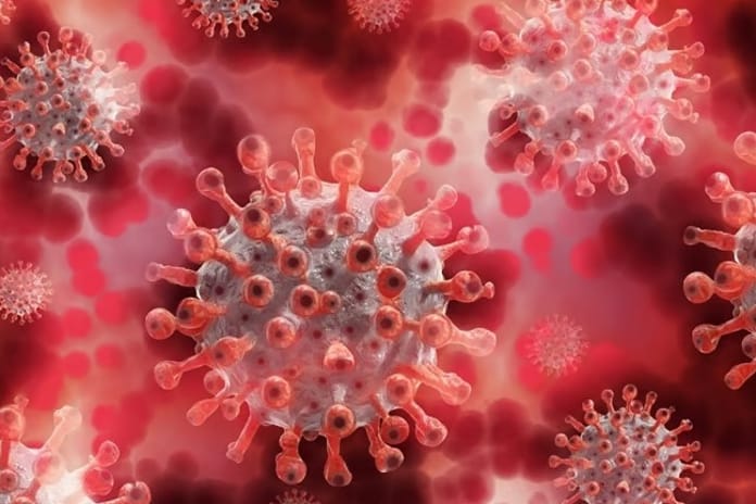 Gana’da maymun çiçeği alarmı: Vaka sayısı 79’a yükseldi